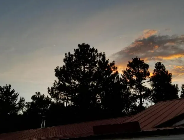 Alpine Moose Lodge hotel detail image 2