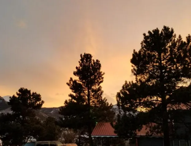 Alpine Moose Lodge hotel detail image 4