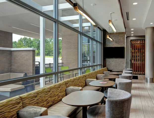 SpringHill Suites by Marriott Orangeburg hotel detail image 3