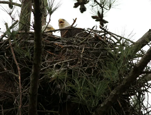 Kentucky Dam Village State Resort Park hotel detail image 2