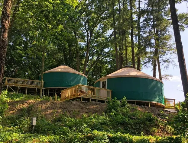 Circle M Camping Resort Yurt hotel detail image 1