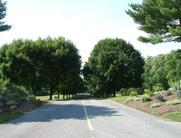 Circle M Camping Resort Yurt hotel detail image 2