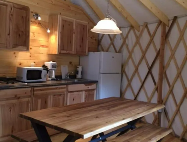 Circle M Camping Resort Yurt hotel detail image 4