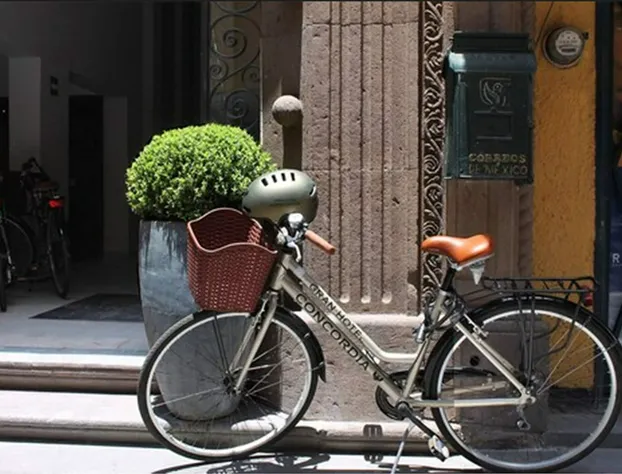 Gran Hotel Concordia San Luis Potosí hotel detail image 4