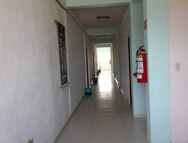 Hotel Don Kike 55 hotel detail image 2