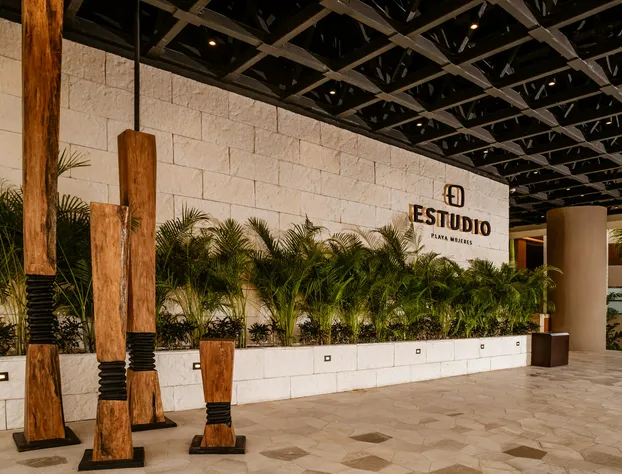 Estudio Playa Mujeres All Inclusive hotel detail image 4