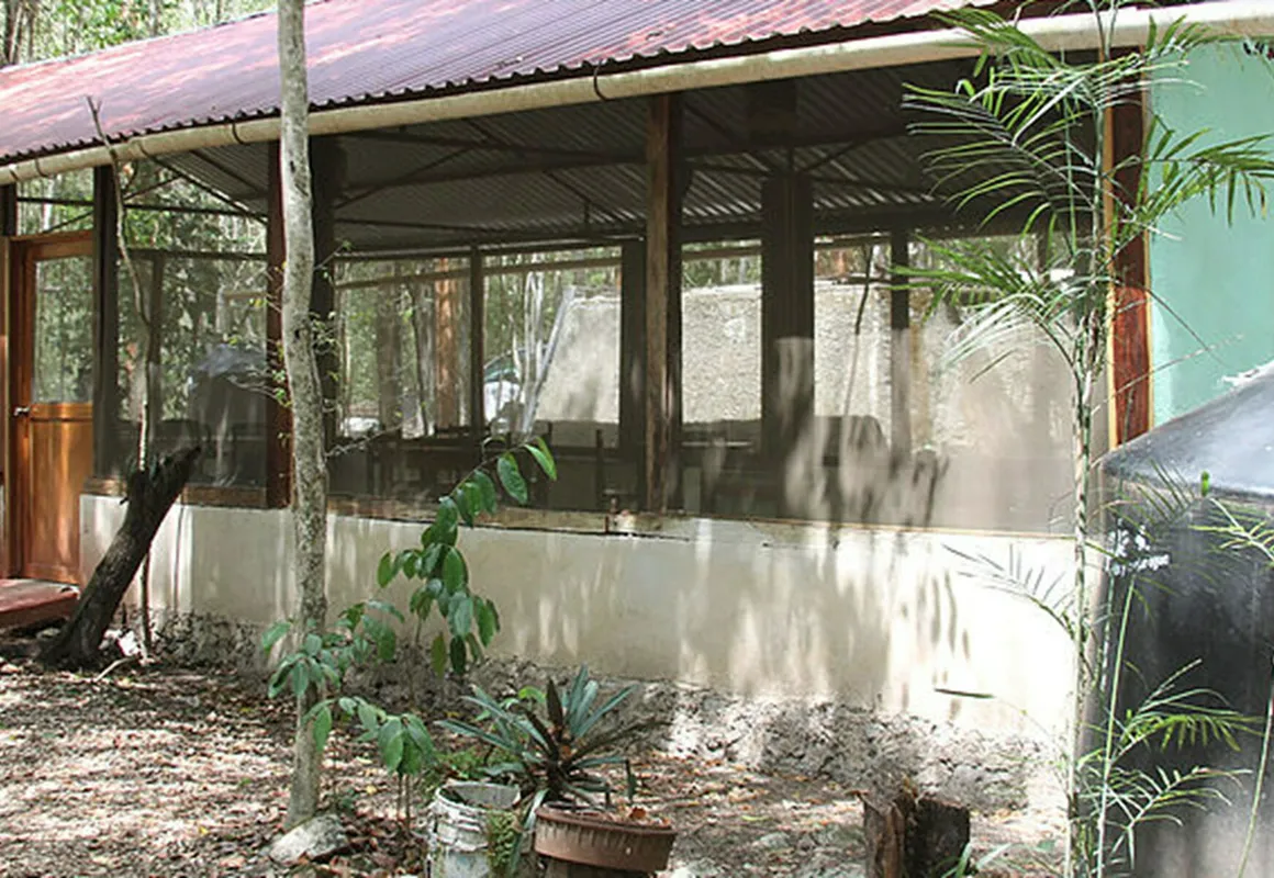 Campamento Yaaxche en Calakmul hotel hero