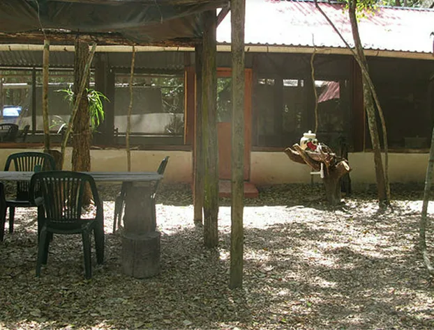 Campamento Yaaxche en Calakmul hotel detail image 1