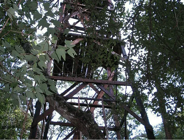 Campamento Yaaxche en Calakmul hotel detail image 2