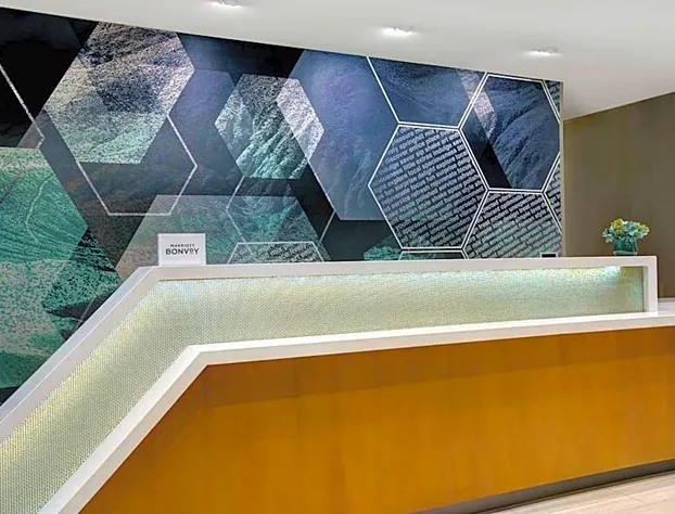 SpringHill Suites by Marriott Franklin Cool Springs hotel detail image 2