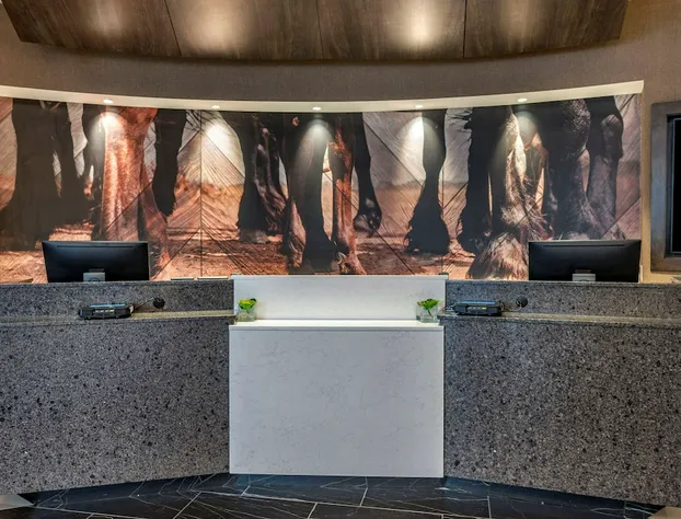 Cambria Hotel Louisville Downtown-Whiskey Row hotel detail image 1