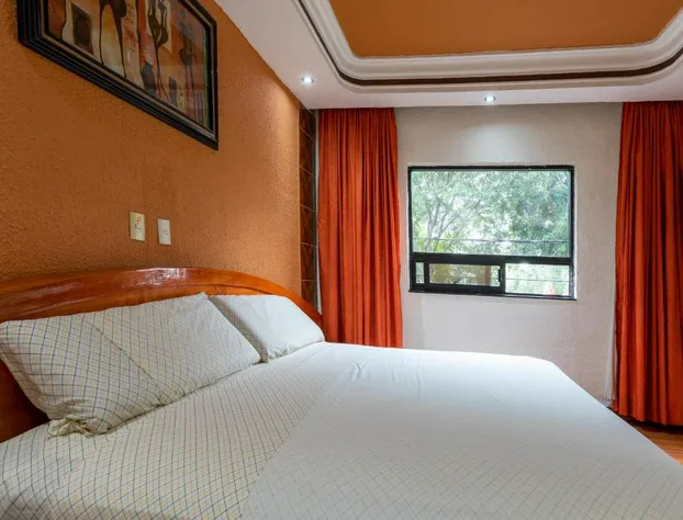 Hotel Vista Alegre hotel detail image 4