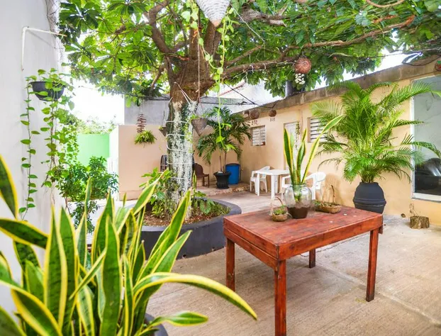 Hotel Kiin Cozumel hotel detail image 4