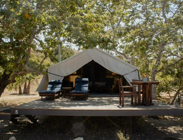 Hotel Cuatro Cuatros hotel detail image 2