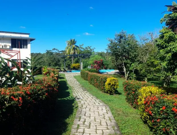 Hotel Los Leones hotel detail image 1