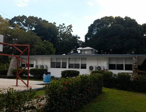 Hotel Los Leones hotel detail image 3