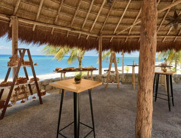 Melia Cozumel All Inclusive hotel detail image 1