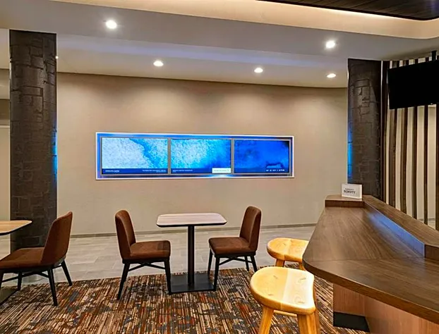 SpringHill Suites by Marriott Dallas Richardson/University Area hotel detail image 3