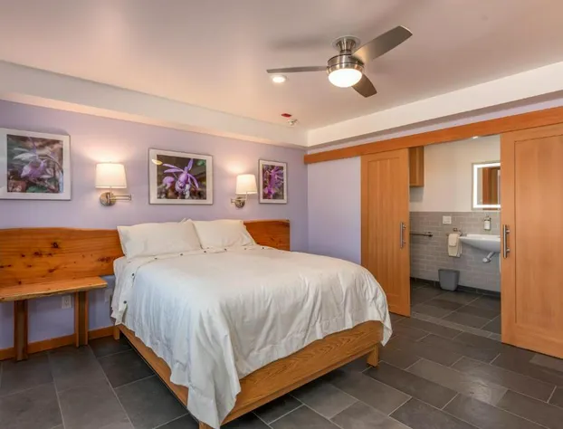 Wildflower Boutique Motel hotel detail image 2