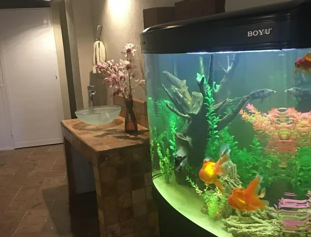 Artes Bed & Breakfast hotel detail image 4