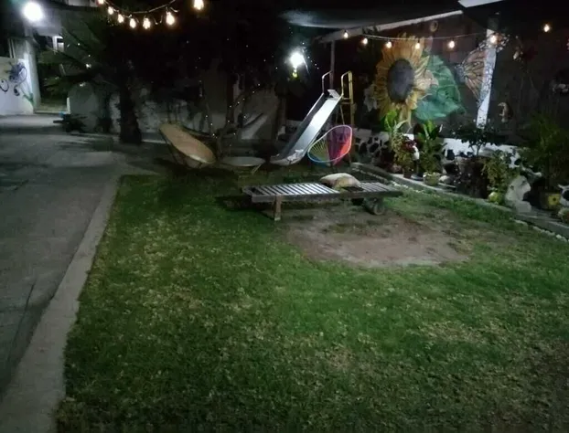 Hotel Colibri hotel detail image 3