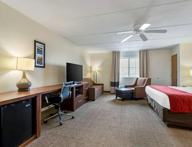 Comfort Inn Kissimmee-Lake Buena Vista South hotel detail image 3