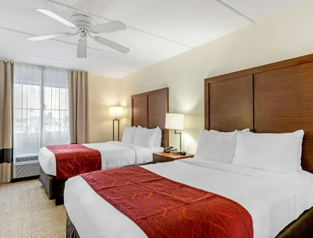 Comfort Inn Kissimmee-Lake Buena Vista South hotel detail image 4