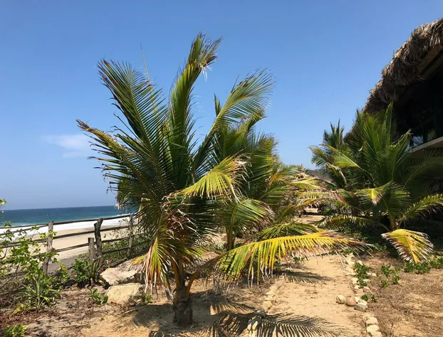 Casa Ofelia hotel detail image 2