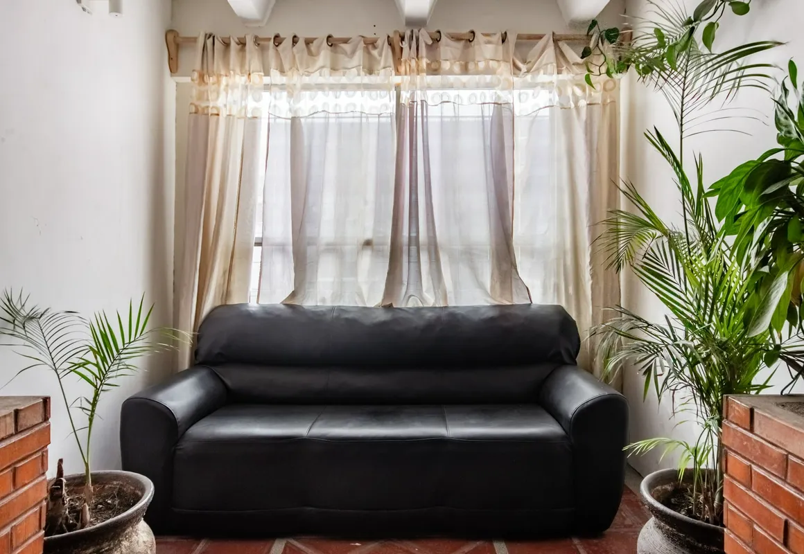 OYO Hotel Halley hotel hero