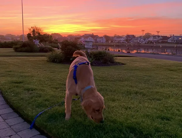 Cashelmara Inn hotel detail image 2