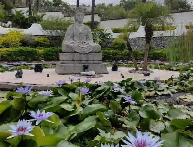 Jardin De La Abundancia hotel detail image 3