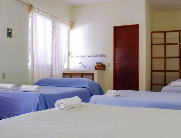 Posada Lupita hotel detail image 4