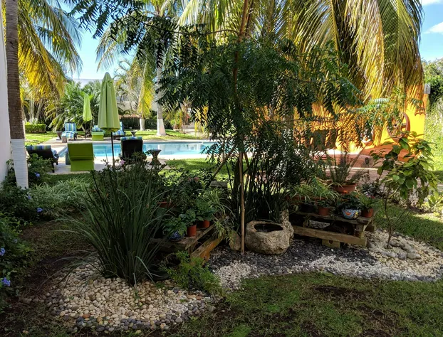 Casa Xcanatun hotel detail image 4