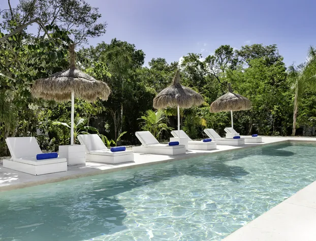 Jungle Lodge Boutique Hotel - Adults Only hotel detail image 1