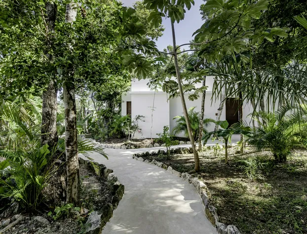 Jungle Lodge Boutique Hotel - Adults Only hotel detail image 2