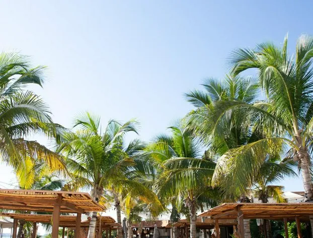 SLS Cancun hotel detail image 1