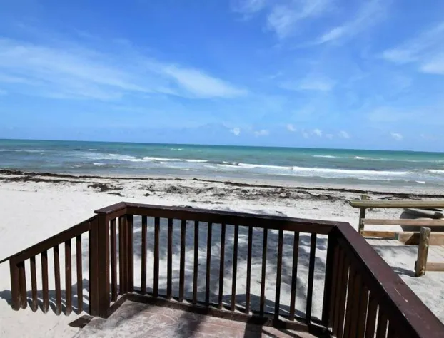 Amazing 2 Bed 2 Bath With Ocean View at Tides hotel detail image 4