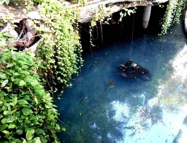 Tropical Casablanca Party Zone hotel detail image 2