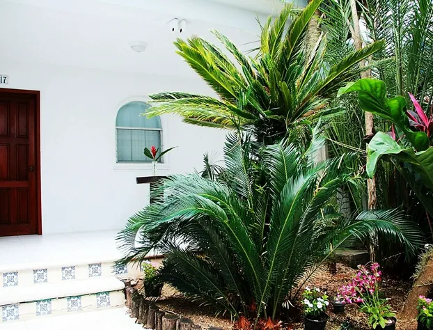 Tropical Casablanca Party Zone hotel detail image 3