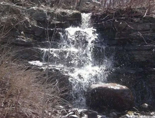 Inn at the Hilton Beach by Elevate Rooms hotel detail image 2