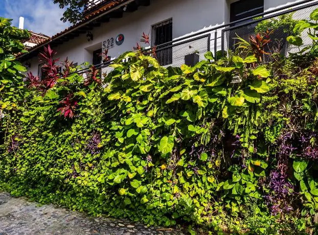 Cinco22 Hotel B&B hotel detail image 1