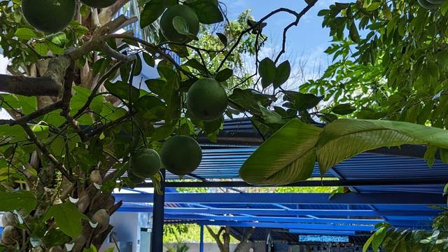 The Blue Eco Lodge - Adults only hotel detail image 1