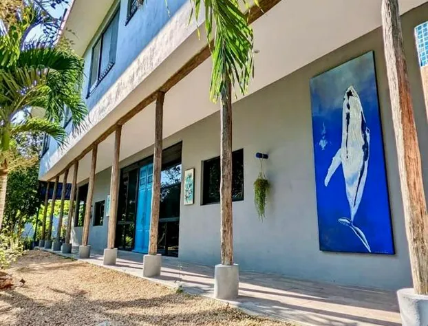 The Blue Eco Lodge - Adults only hotel detail image 2