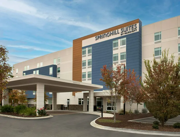 SpringHill Suites by Marriott Charleston Airport & Convention Center hotel detail image 1
