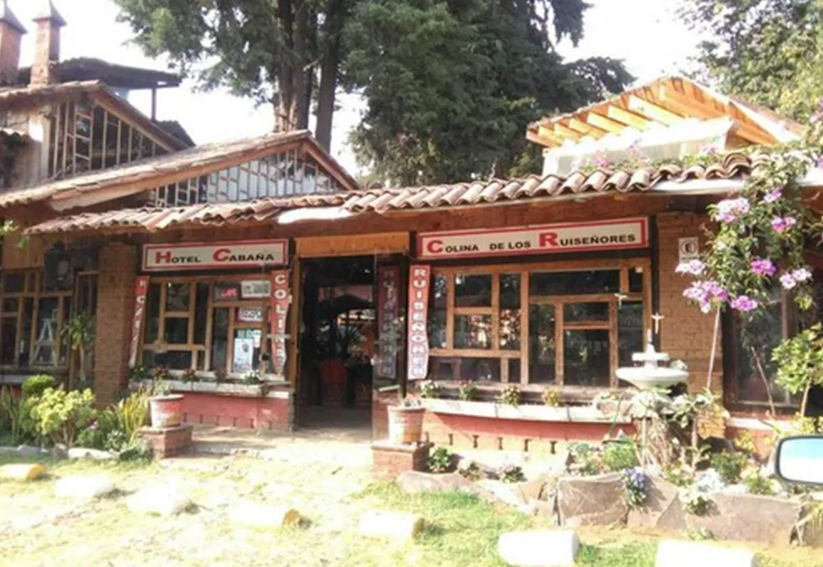 Hotel Cabaña Los Ruiseñores hotel hero