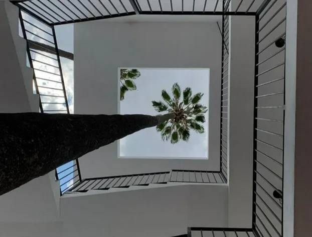 Clandestino Hotel & Spa Pila Seca hotel detail image 4