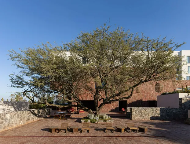 Albor San Miguel de Allende, Tapestry Collection by Hilton hotel detail image 3