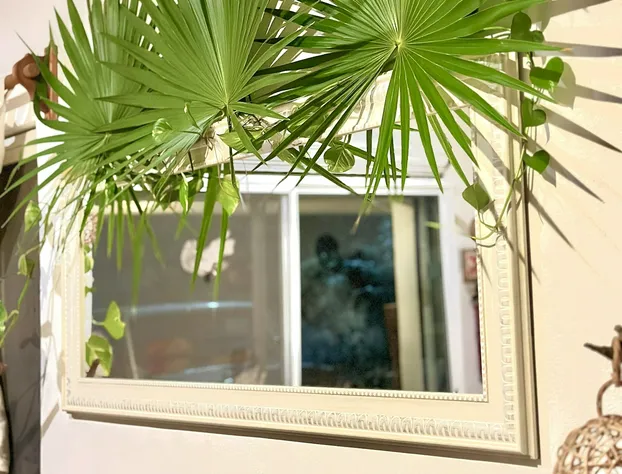 Hotel Jaiba Mahahual hotel detail image 4