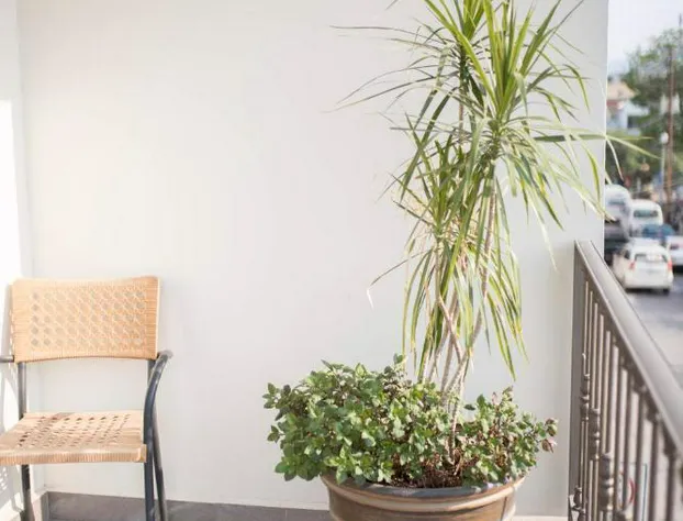 Gran Plaza Hotel Centro Historico hotel detail image 3