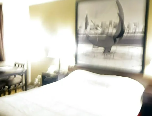 Rodeway Inn Waukegan hotel detail image 4